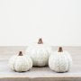 Pattern pumpkin