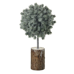 Green tree with bark base