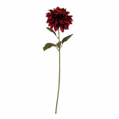 Dahlia burgundy stem (faux 74cm)