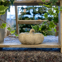 Beige mottle ceramic pumpkin