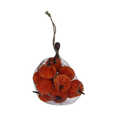 Orange Mini Pumpkin Mix
