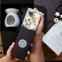 Wax burner & Wax melt gift set