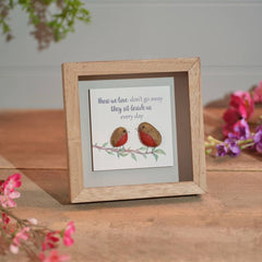 Framed robin picture