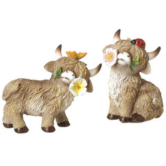 Highland cow